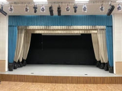 Textile articles TM VERA for decoration of a stage, an auditorium, interiors of premises: Stage clothes. Paduga type (harlequin,