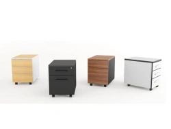 Office cabinet PUMBA series