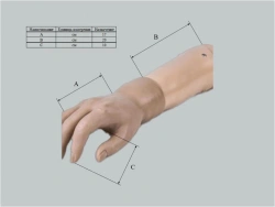Cosmetic prosthesis of the hand, including partial and partial dislocation of the hand