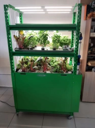 Hydroponic plant VeFarm-ED
