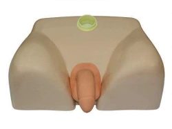 Male catheterisation model, NS6032