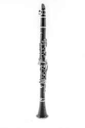Clarinet Bb "Buffet Crampon - Atelier Goncharov" Dotsenko & Co. DCL-302
