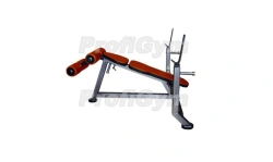 SK-0080-H. Bench for bench press with reverse inclination