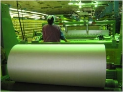 Corded kapron fabric