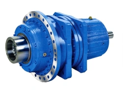 Planetary gearbox and gearmotor