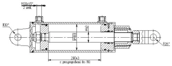 Hydraulic cylinder 1146.00.00.00.00 (100x40-200, mm), 16MPa