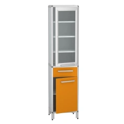 Cabinet for storage of medicines according to TU 32.50.30-007-32924160-2021, article number DM-2-101-05.K2.F2.?2
