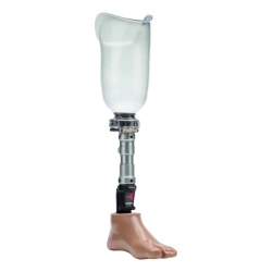 8-07-09 Modular tibial prosthesis, including underdevelopment.