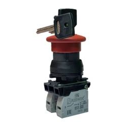 Switch with mushroom-shaped pusher with key locking 22mm plastic (CME 5FK)