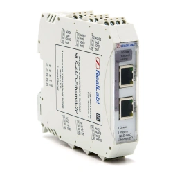 NLS-4AO-Ethernet-2P Analogue output module