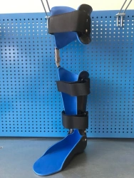 AN2-OS Ankle apparatus