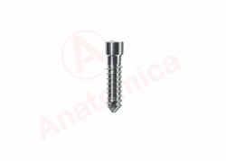 Reconstructive screw
