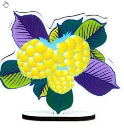 Playing aid Golden fruit