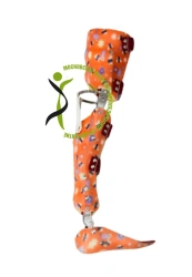 Full leg apparatus AH8-115-DP (AH8-115)