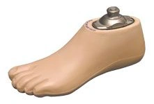 Foot on low heel 9A 007 female type Sach 25
