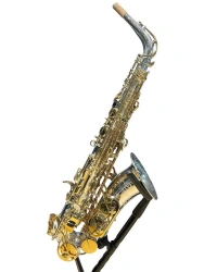 Alto saxophone Dotsenko & Co. DAS-803SG