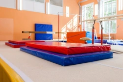 Gymnastic mat