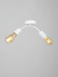 General purpose fixed luminaire V4989-0/2PL