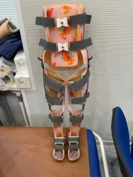 Apparatus for lower limbs and torso (orthosis)
