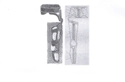 ANK-KSTS knee and hip joint apparatus