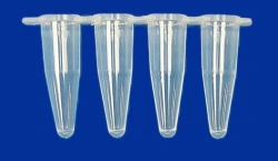 Non-sterile polymeric tube for in vitro diagnostics according to TU 32.50.50-021-54287340-2022: Cone microtube PM3-7-21-PP