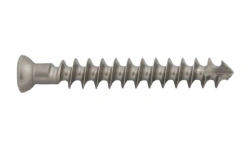 Spongy screw