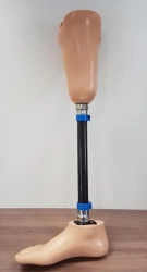 Therapeutic-training tibial prosthesis PN3-LT.1
