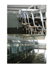 Machinery for animal husbandry: milking machines, series "AIS-SCR", types: "herringbone"