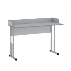 Pupil's desk