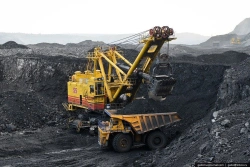 Premium Grade D Coal, First Vitrinite, Size Class 0-300 mm (1DVR)