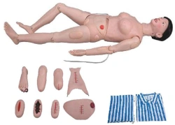 Multifunctional mannequin (female), art.no. 2200