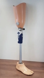 Modular hip prostheses