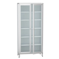 Cabinet for storage of medicines according to TU 32.50.30-007-32924160-2021, article number DM-2-101-15.K2.