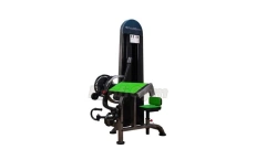 CST - 008 Biceps+Triceps Machine