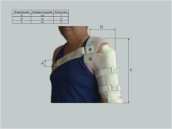 Apparatus for wrist, elbow and shoulder joints