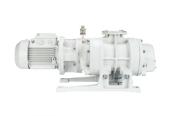 Double-rotor vacuum pump NVD-200