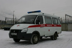 Ambulance, type 38406B, modification 384066, category N1, with petrol engine on the basis of vehicle/chassis GAZ