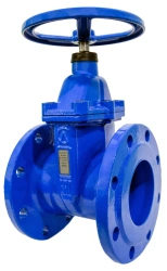 Cast iron gate valve with rubberised wedge 30ch39r SL14