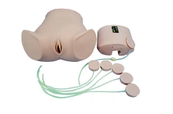 Model for abdominal puncture CS6232A