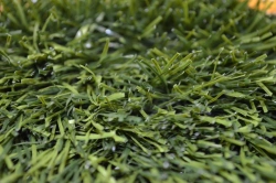 Artificial grass Optigrass Ultra 55 MF