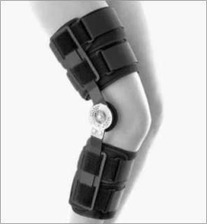 Knee joint apparatus AN4-K.1