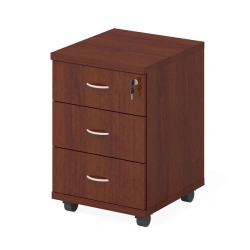 Wooden office cabinet