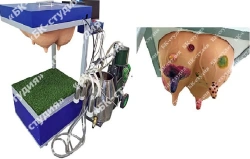Simulator "Milking skills and cattle udder study".