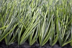Artificial grass Grass 60/10 PU