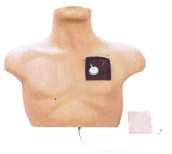 Trainer for practising various interventions on veins L61