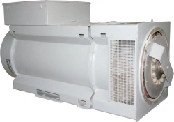 Brushless synchronous generator (1)GS-1000-B(1)(P)-(ZU)-(RP)-(T)-(T)-KM(2)-(K) U2(O2)(T2)(OM4)