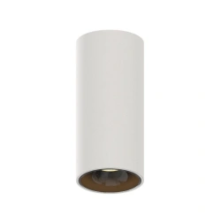 LED pendant/overhead luminaire Z1 Lighting Spring