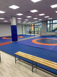 Wrestling carpet