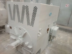 Asynchronous electric motor 2ADO1 500-6000-6U1M for Primorskaya GRES. Unit No.3