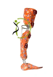 Full leg apparatus AH8-115-DP (AH8-115)